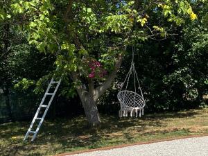 a swing hanging from a tree with a ladder at Hellena in Sarajevo