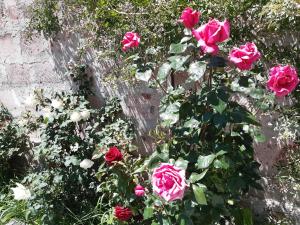 Giardino di Guest House Sevan