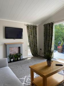 a living room with a couch and a tv and a fireplace at Augusta lodge in Wisbech
