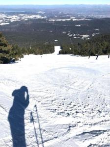 Flora Ski-slope Studio Apartment during the winter