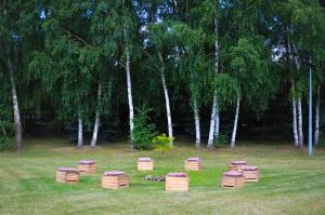 Billede fra billedgalleriet på Hotel Manhatan i Zygry