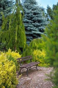 Billede fra billedgalleriet på Hotel Manhatan i Zygry + 14 billeder