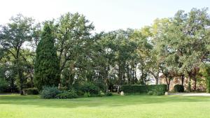 een park met bomen en groen gras en struiken bij Château de Saü in Thuir
