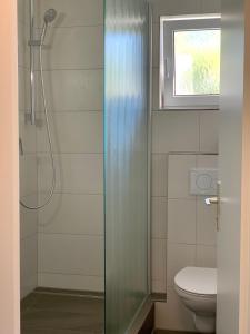 een badkamer met een douche, een toilet en een raam bij Landhaus am Rehwald in Donzdorf