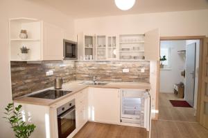 Kuchyňa alebo kuchynka v ubytovaní Mikulov Apartments - Apartmán Radka