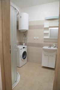 a bathroom with a washing machine and a sink at Mikulov Apartments - Apartmán Radka in Mikulov