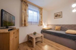 mały salon z kanapą i telewizorem w obiekcie Ferienwohnungen Mischbach w Neustift im Stubaital