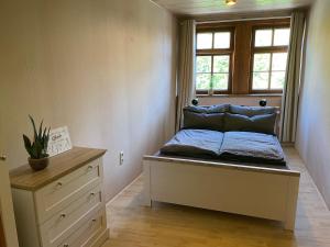 um quarto com uma cama com almofadas azuis e uma janela em Ferienwohnung zur Ratsklause em Arnstadt