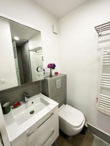 a bathroom with a sink and a toilet and a mirror at KORALA T2 Marne ville & plage in Biarritz