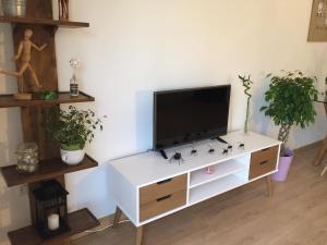 TV a/nebo společenská místnost v ubytování Espectacular ático con solárium en Centro Histórico