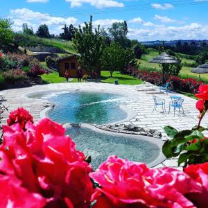 una piscina en un jardín con flores rosas en angolo di paradiso, en Formello