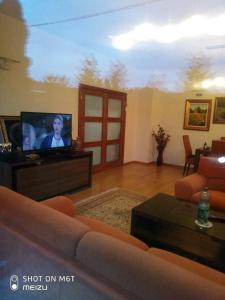 sala de estar con sofá y TV de pantalla plana en Vila Zvizdic en Ilijaš