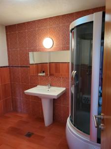 La salle de bains est pourvue d'un lavabo et d'une douche. dans l'établissement Vila Zvizdic, à Ilijaš