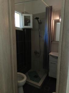 A bathroom at Irina Haus