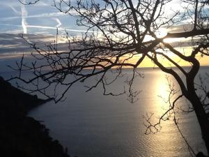 a sunset over the water with a tree at BBQ Lodge in Camogli