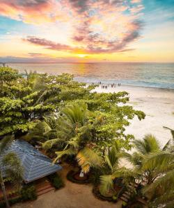 - une vue sur la plage bordée de palmiers et l'océan dans l'établissement Alleppey Palm Beach Resort & Cafe, à Alappuzha