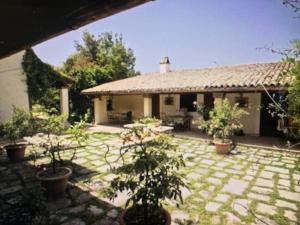 A garden outside Rome villa swimming pool