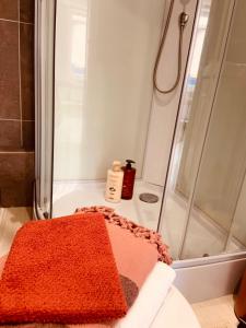 a bathroom with a shower with a red rug at Studio Renard, style bohème et atypique, Curistes in Luxeuil-les-Bains