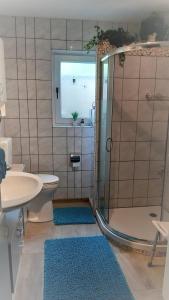 a bathroom with a shower and a toilet and a sink at Haus Harzer Bergblick all inklusiv in Bad Lauterberg