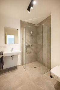 ein Bad mit einer Dusche und einem Waschbecken in der Unterkunft Suites Lohne in Lohne