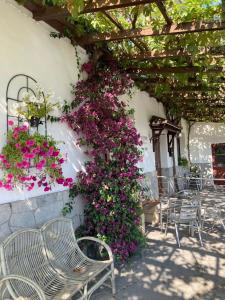 a group of chairs and flowers on a wall at Atxispe Etxea Casa Rural in Laukiz