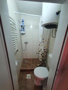 ein kleines Bad mit einem WC und einer Dusche in der Unterkunft Bulevar Apartments in Požarevac