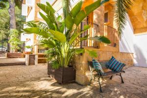 Сад в Ideal Property Mallorca - Sol de Mallorca 1