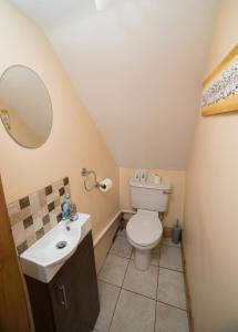 a small bathroom with a toilet and a sink at Ballygown Cottage in Torpys Cross Roads