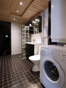 a bathroom with a washing machine and a toilet at Economy Tieva in Levi