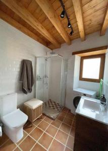 a bathroom with a toilet and a shower and a sink at Encuentra el norte en la Casa del buen camino in Oreña