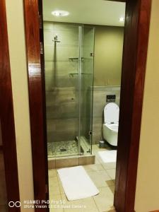 a bathroom with a glass shower and a toilet at Tramonto Guesthouse in Parys
