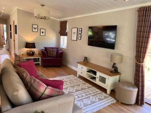 a living room with a couch and a tv at Hollicarrs - Dragonfly Lodge in York