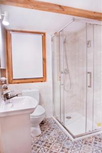 a bathroom with a shower and a toilet and a sink at Górska Kraina in Bielsko-Biala +16 photos
