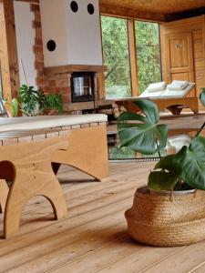 Foto sihtkohas Podčetrtek asuva majutusasutuse Guesthouse Jelenov greben galeriist