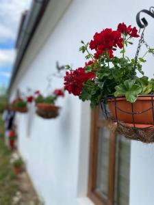 Photo de la galerie de l'établissement Casa Cânda, à Sălaşu de Sus