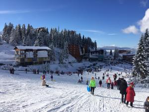 eine Gruppe von Menschen auf einer Skipiste im Schnee in der Unterkunft Apartmani Šišava Apt. Nancy in Vlasic