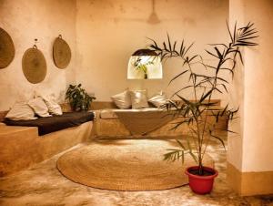 Ruang duduk di Firefly Boutique Lodge