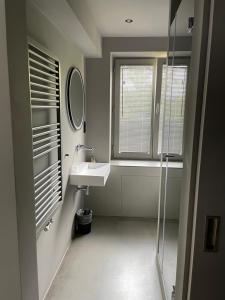a bathroom with a sink and a mirror and a shower at Hotel Mons am Goetheplatz in Munich +20 photos