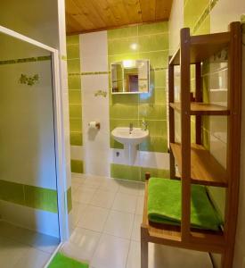y baño con lavabo, aseo y espejo. en Penzion Major, en Rokytnice nad Jizerou