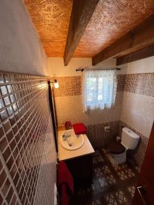 y baño con lavabo y aseo. en Casa Luis Pico en Granadilla de Abona