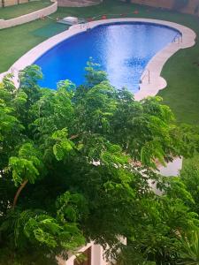 a large swimming pool with a tree in the foreground at Lovely beachfront apartment in Calahonda in Sitio de Calahonda