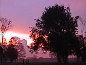 サウスウォルドにあるThe Stables at Henham Parkの夕日を背景に植えられた木