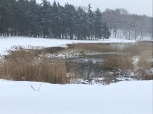 un estanque en un campo con nieve y árboles en The Stables at Henham Park, en Southwold