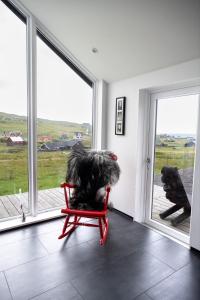 Luxurious cabin / 3 BR / Scenic village في Skálavík: كلب يجلس على كرسي احمر ينظر من النافذة