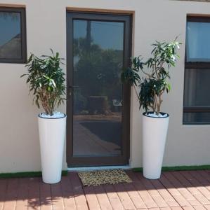 two potted plants sitting in front of a door at Elegant Airbnb in Pretoria