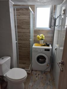 a bathroom with a toilet and a washing machine at Perea Silvi suite in Perea