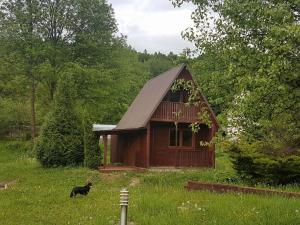 um cão parado em frente a uma pequena casa em Malastow Mały Domek em Małastów