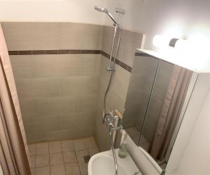 een badkamer met een douche, een toilet en een wastafel bij Eremitageparken in Kongens Lyngby