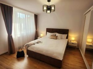 胡内多阿拉Studio TAD HOUSE Hunedoara的一间卧室，配有一张大床和一扇大窗户。