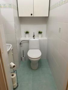 a bathroom with a toilet with two plants on it at Burgaska 5 XL Size in Warsaw